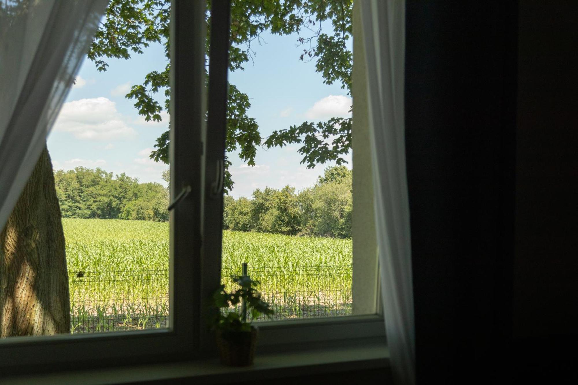 Hostel Osrodek Konferencyjno-Wypoczynkowy Chojna Zewnętrze zdjęcie